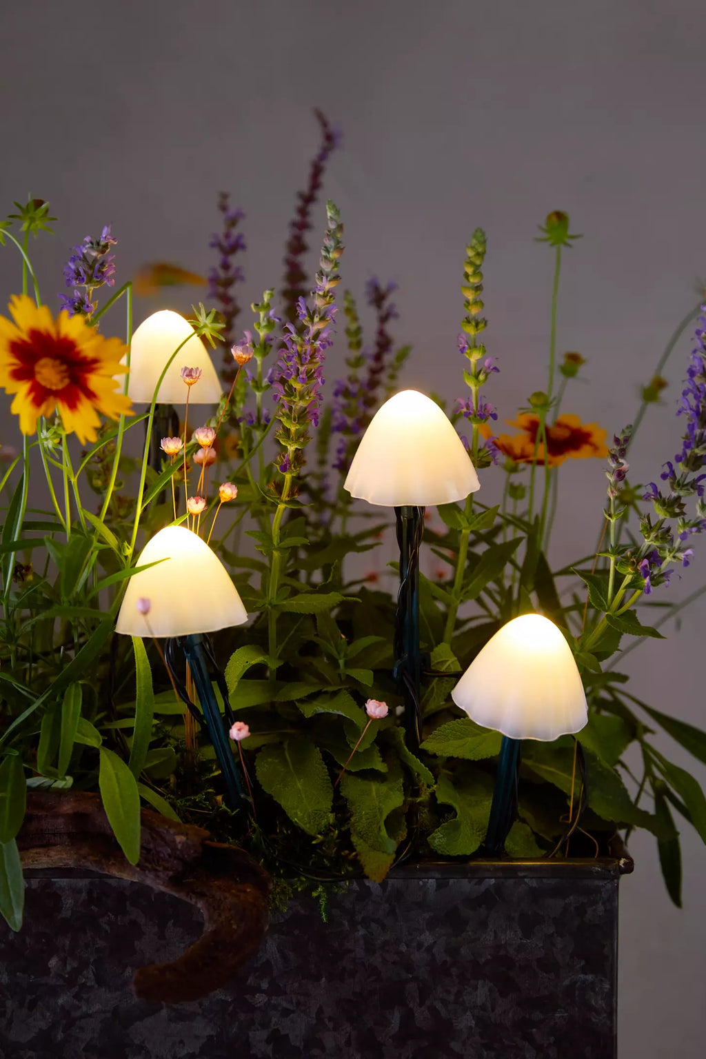 Solar Mushroom Lights