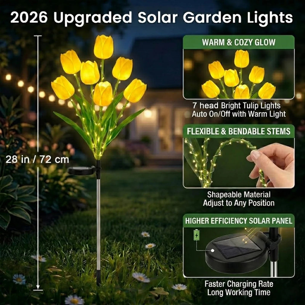 Solar Tulip Lights