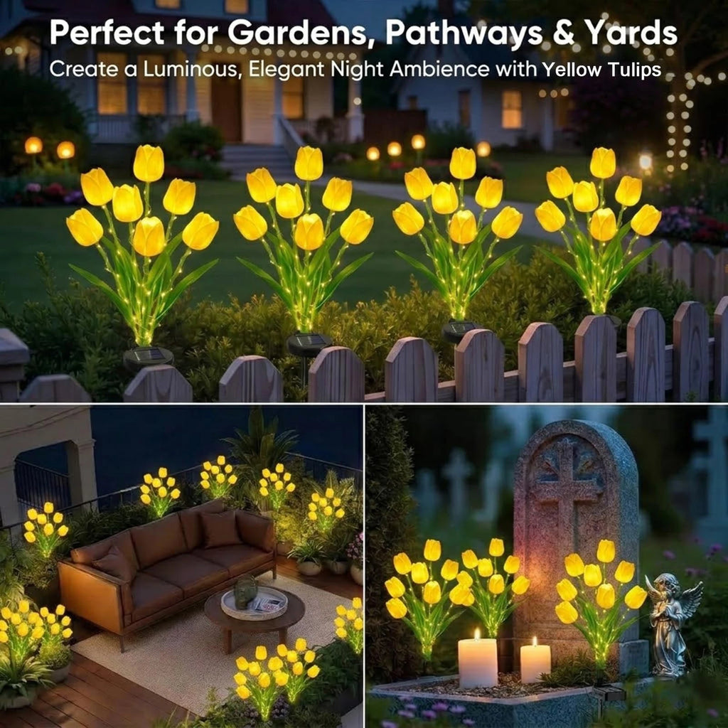 Solar Tulip Lights