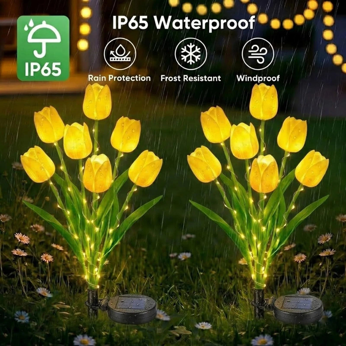 Solar Tulip Lights