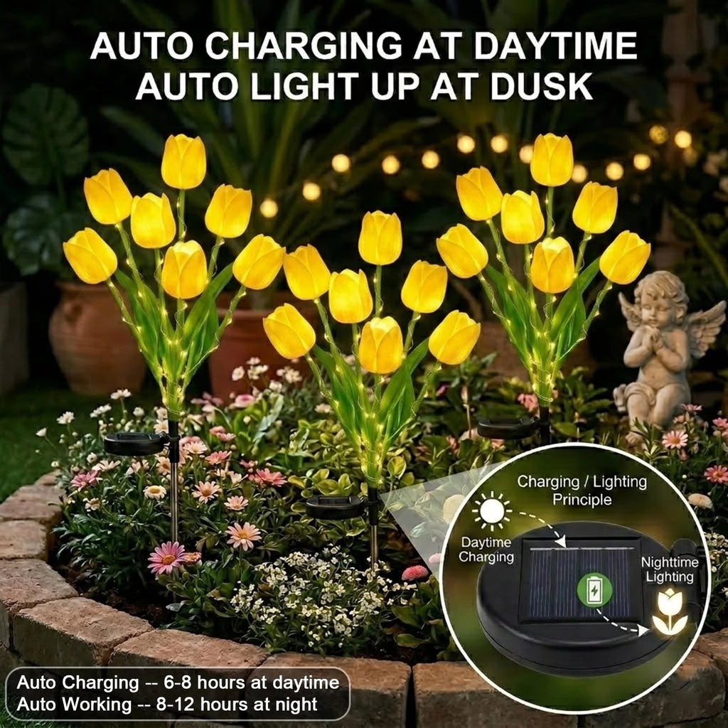 Solar Tulip Lights