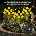 Solar Tulip Lights