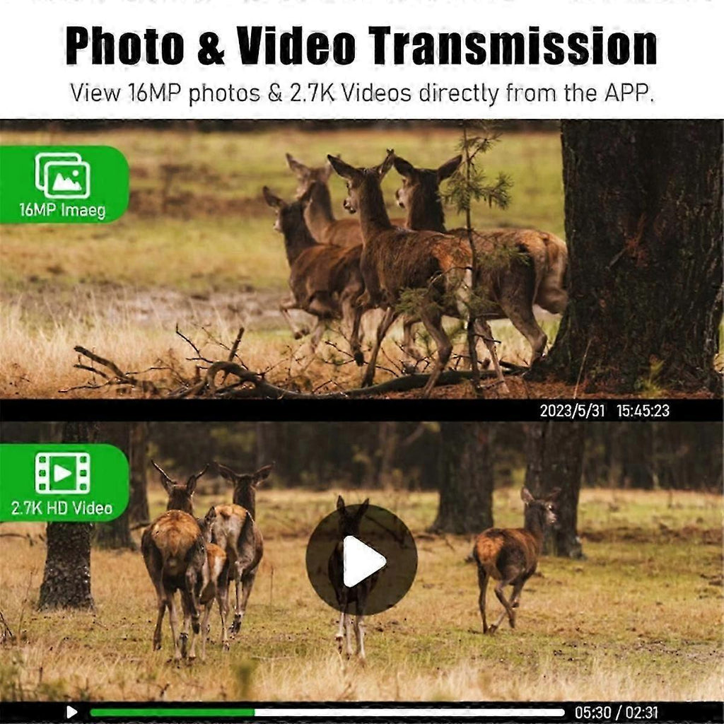 4G LTE Cellular Trail Camera with 4W Solar Panel, 7800mAh Battery, Motion Activated Night Vision, 4MP IP66 Waterproof