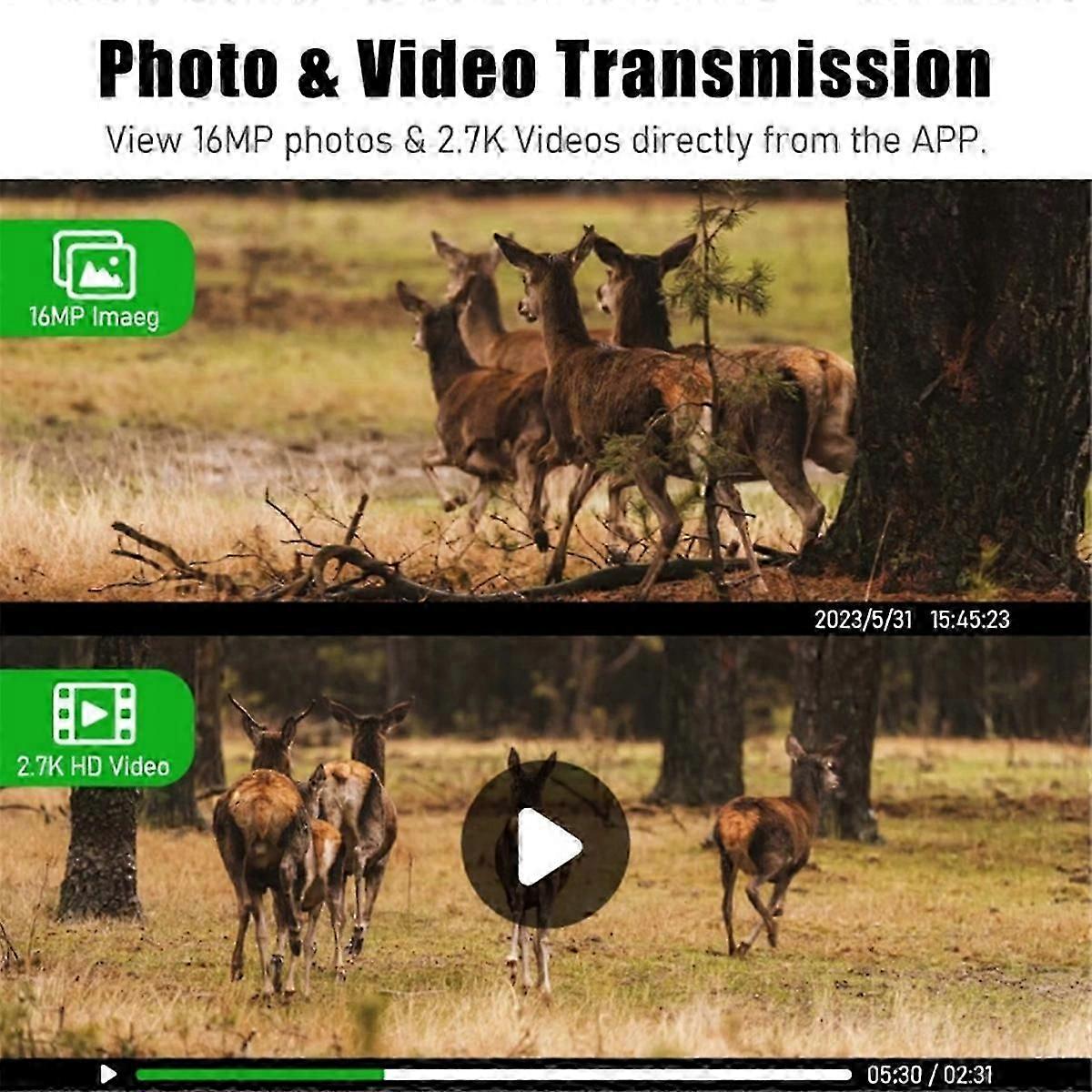 4G LTE Cellular Trail Camera with 4W Solar Panel, 7800mAh Battery, Motion Activated Night Vision, 4MP IP66 Waterproof