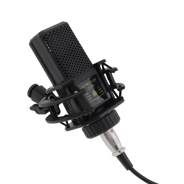 PM-218 Professional Microphone Condenser With Base Stand